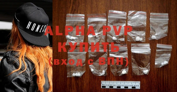 крисы Новодвинск