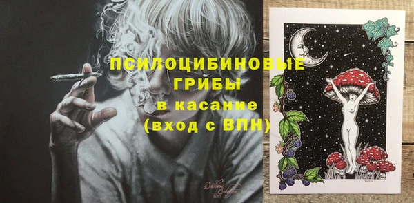 крисы Новодвинск