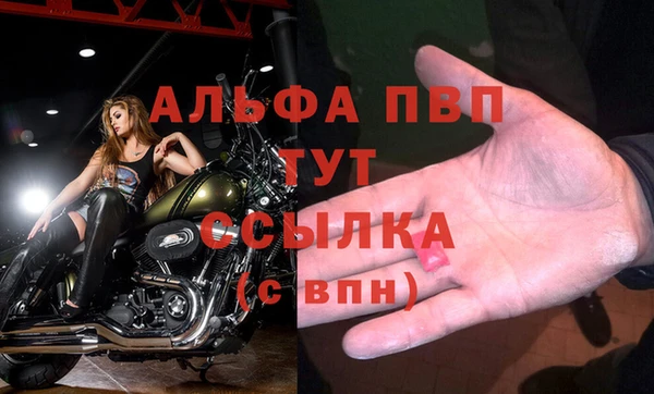 крисы Новодвинск