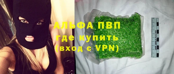 гашик Новокубанск