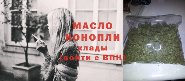 крисы Новодвинск