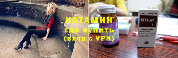 крисы Новодвинск