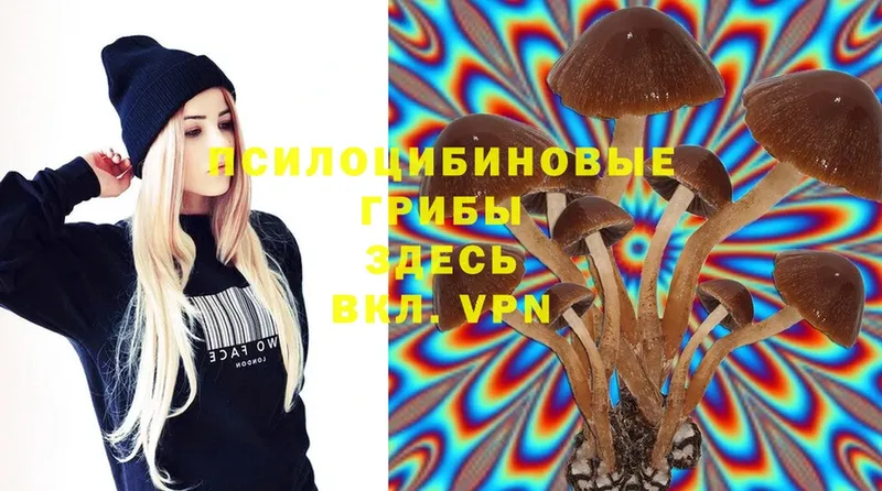 Псилоцибиновые грибы Magic Shrooms Серафимович